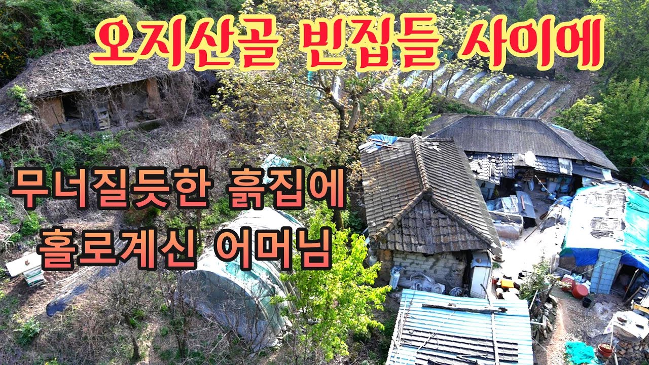 깊은 두메산골 오지 두집만 살고 있는 마을에서 다 무너져 가는 집에 홀로살고 계신 어머님!!