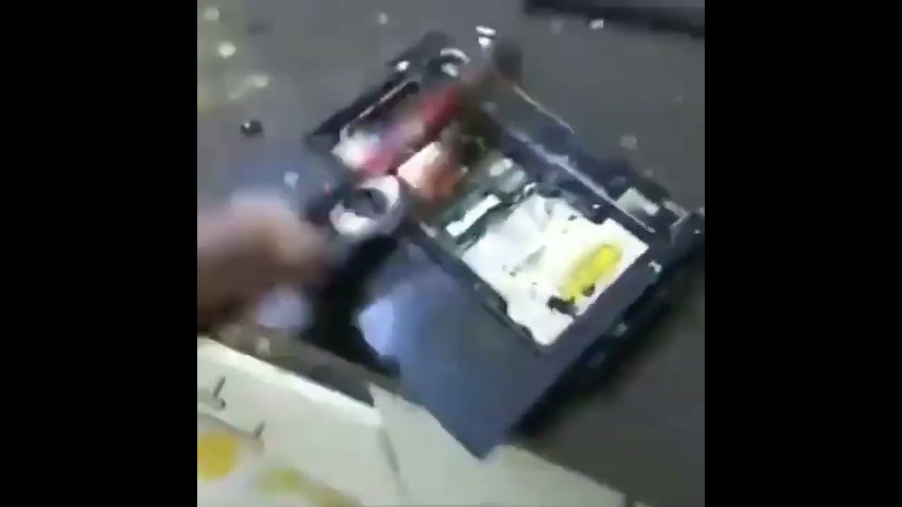 how nintendo treated alphadream be like