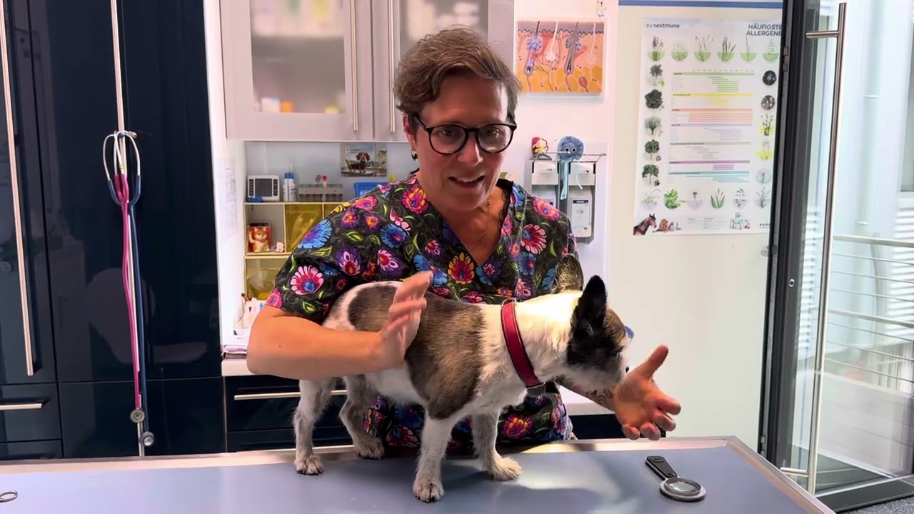 Zeit der Herbstgrasmilben