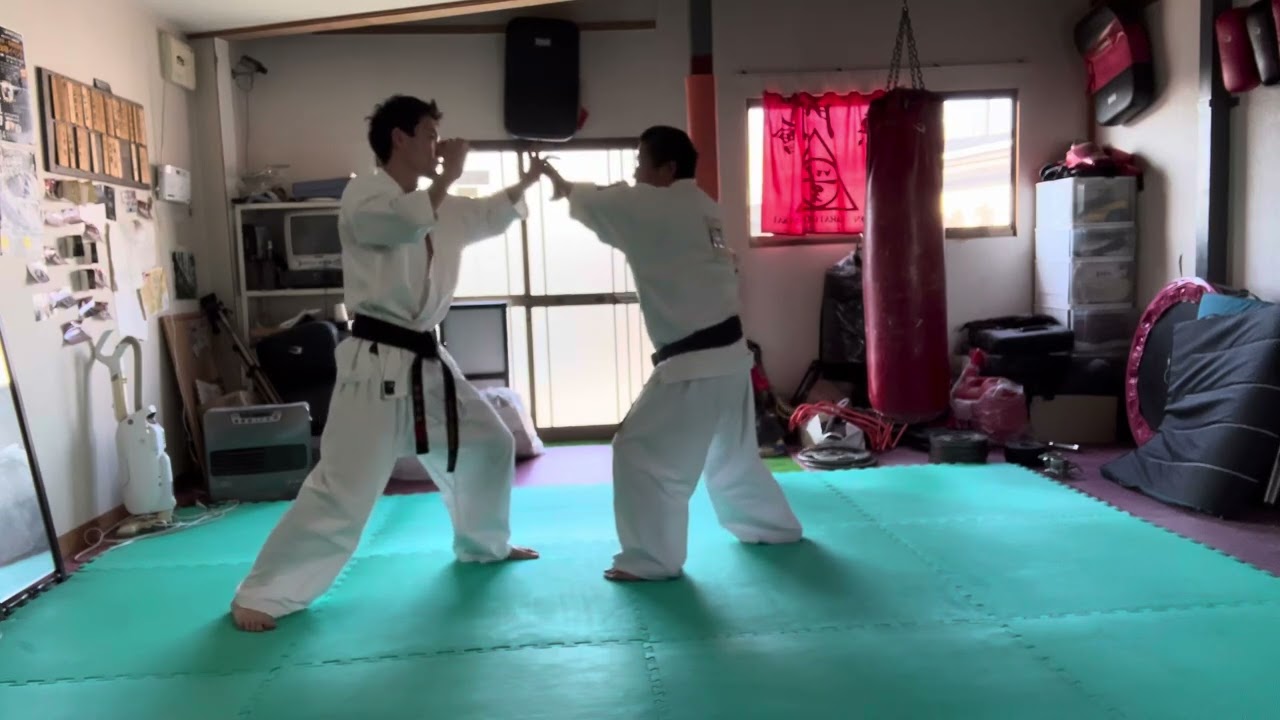 自由組手
