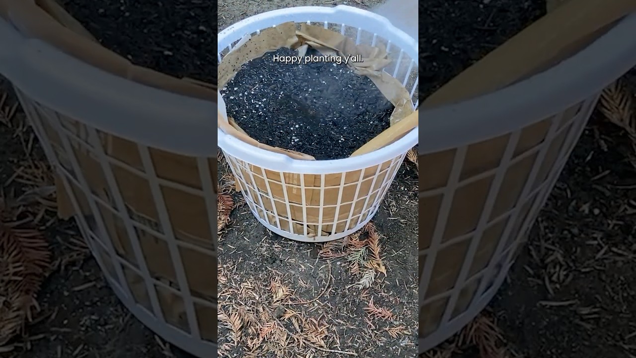 cheap planters from dollar tree laundry baskets!