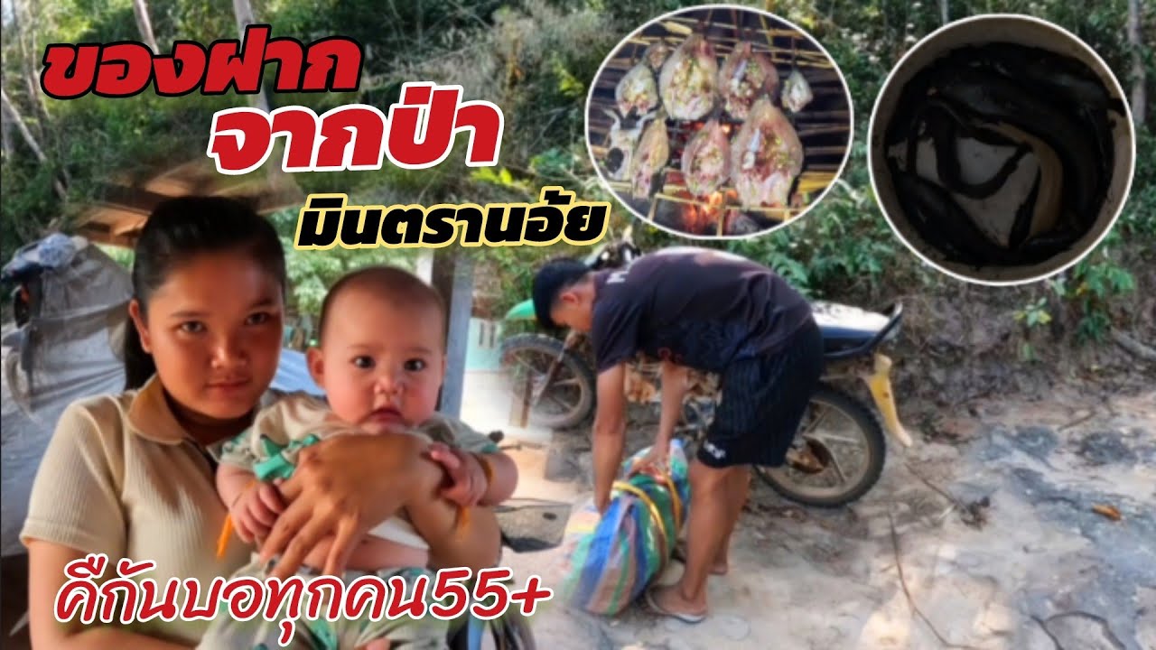 17 มกราคม ค.ศ. 2026เอาปลามาฝากสาวมินตรานอ้ย//ເອາປາມາຝາກມິນຕານອ້ຍ