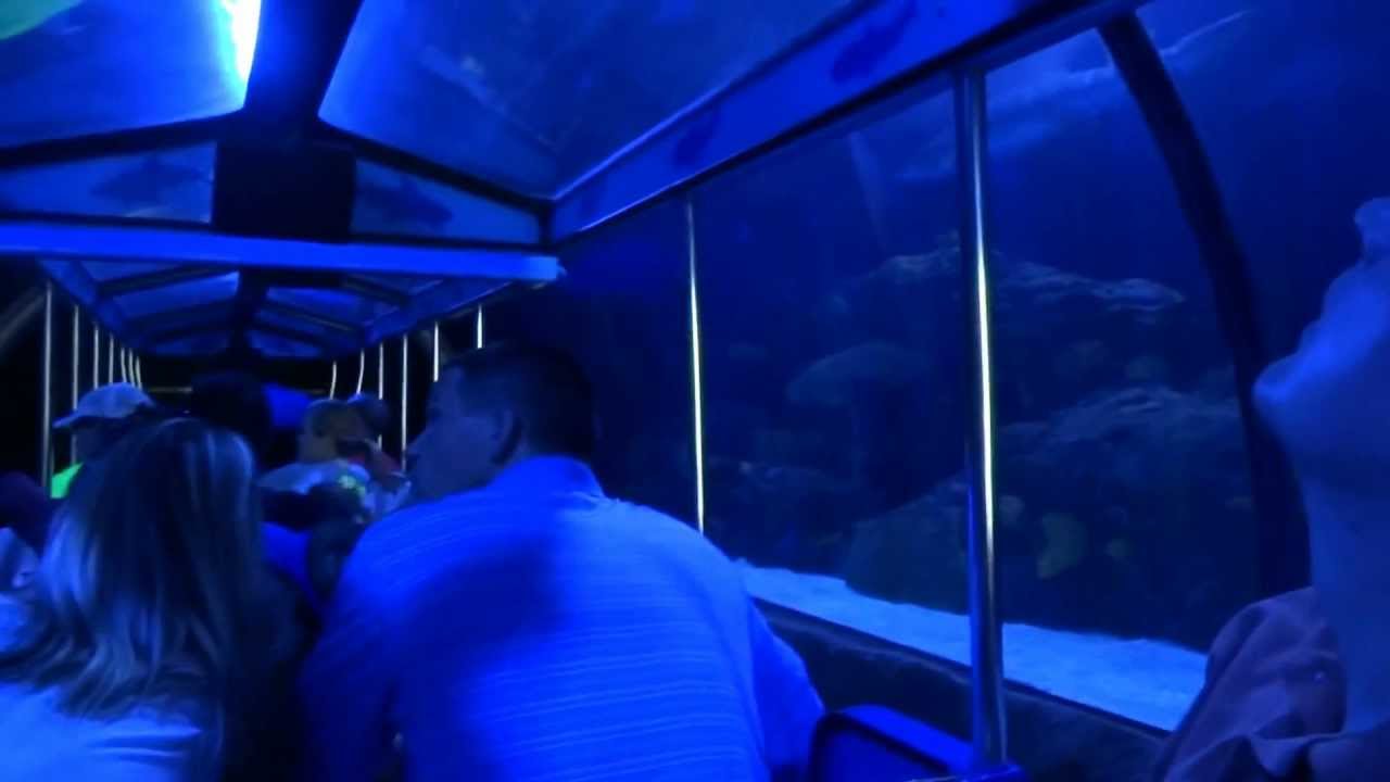 2012 Shark Voyage Adventure Train at Houston's Downtown Aquarium