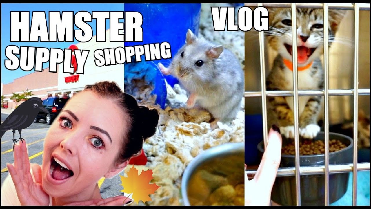SHOPPING FOR HAMSTER SUPPLIES AT TARGET & PETSMART! | HAMSTER SHOPPING VLOG