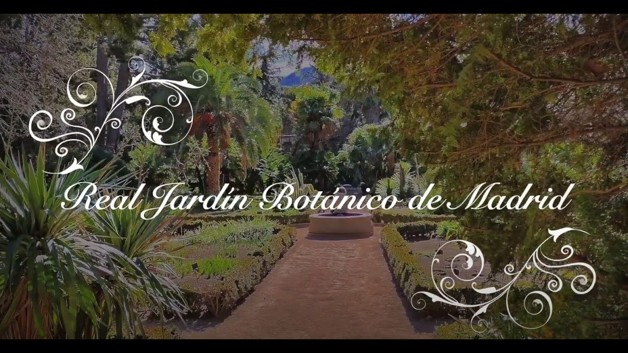 Real Jardín Botánico (RJB-CSIC) para no botánicos.  Invierno. Versión corta