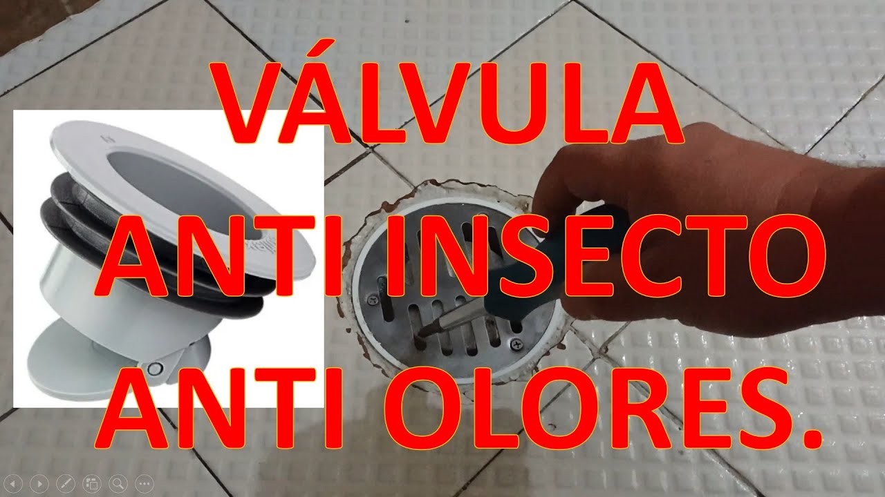 Como eliminar CUCARACHAS en coladeras.