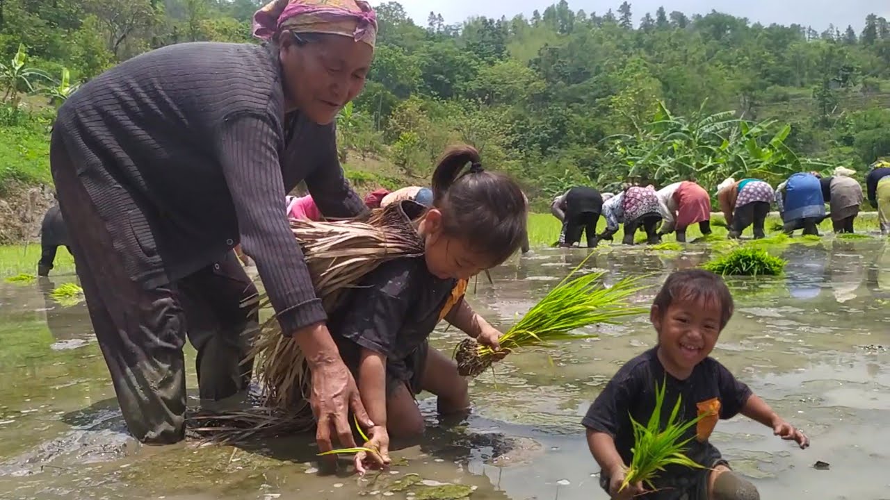 Village Farmers best Day in Nagaland, Switzerland of the east