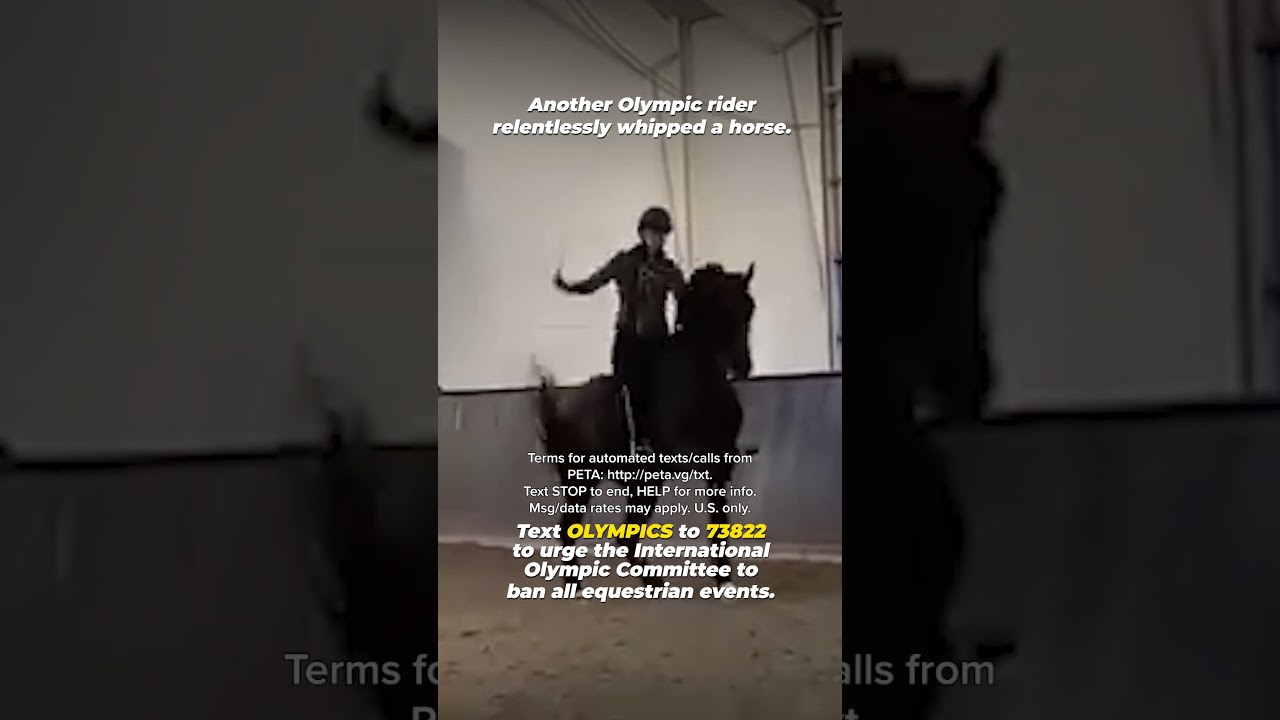Horse Abuse Scandal: Olympic Rider's Cruel Actions
