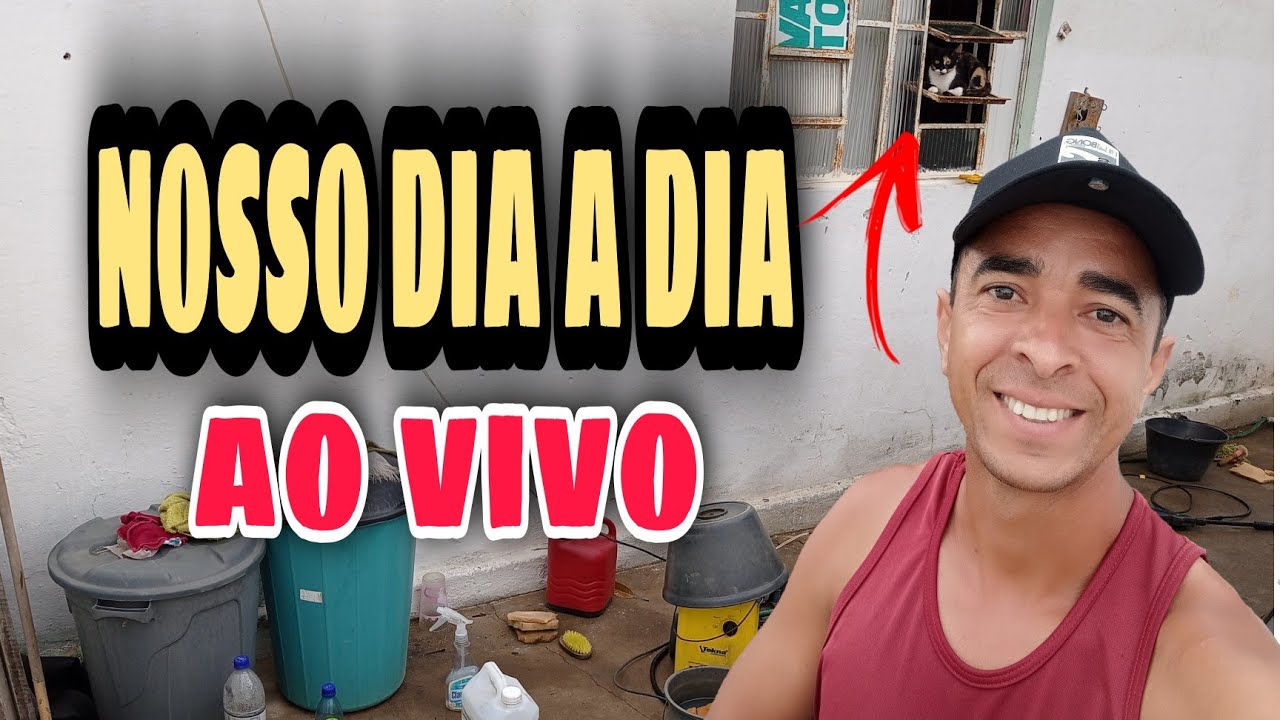DIA A DIA DO LAVA JATO DE QUINTAL