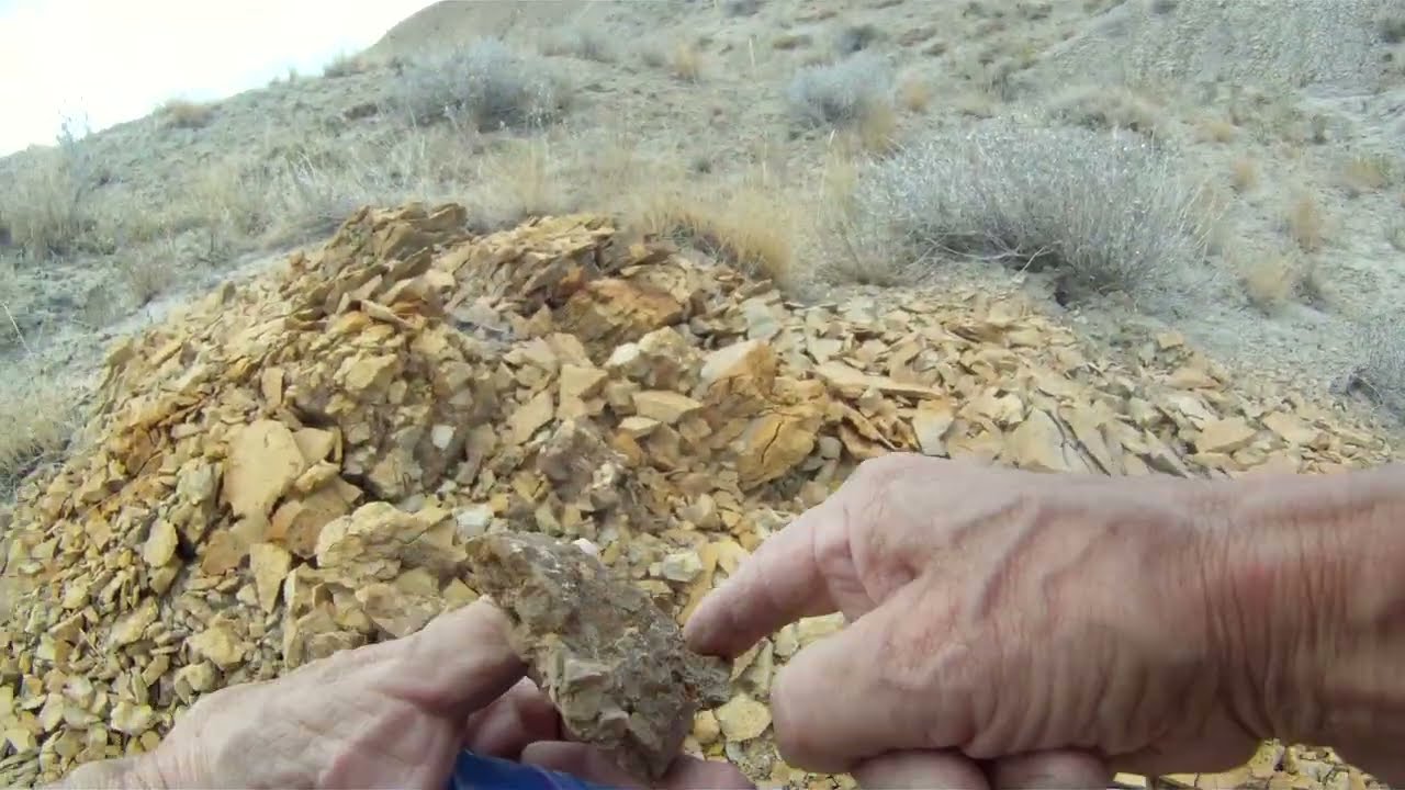Fossil Hunt 15Aug25. Drive out to an area I haven't been to before. #offroad #fossils