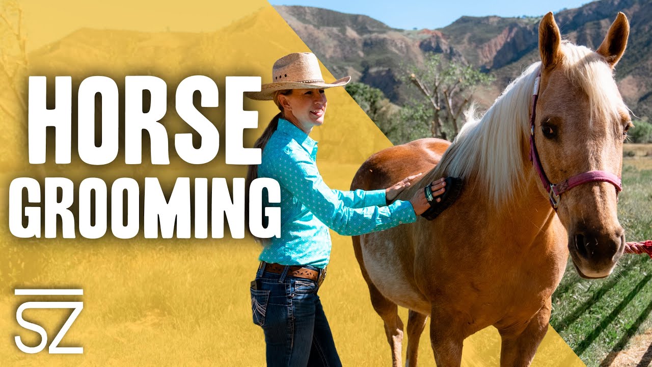 Horse Grooming Tools & Techniques