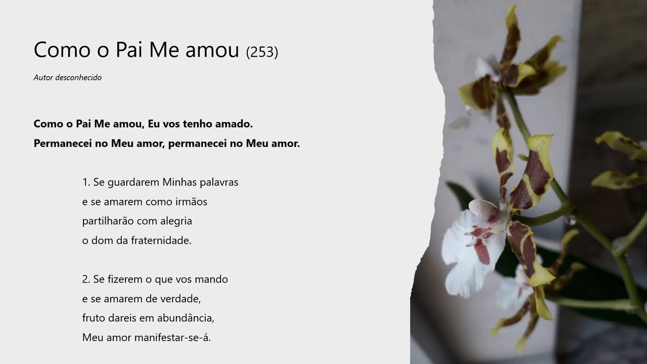 Como o Pai Me amou (253)