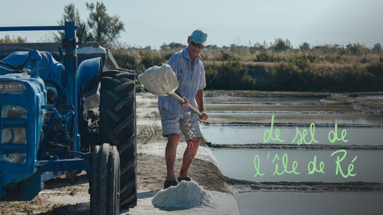 Le sel de l'île de Ré