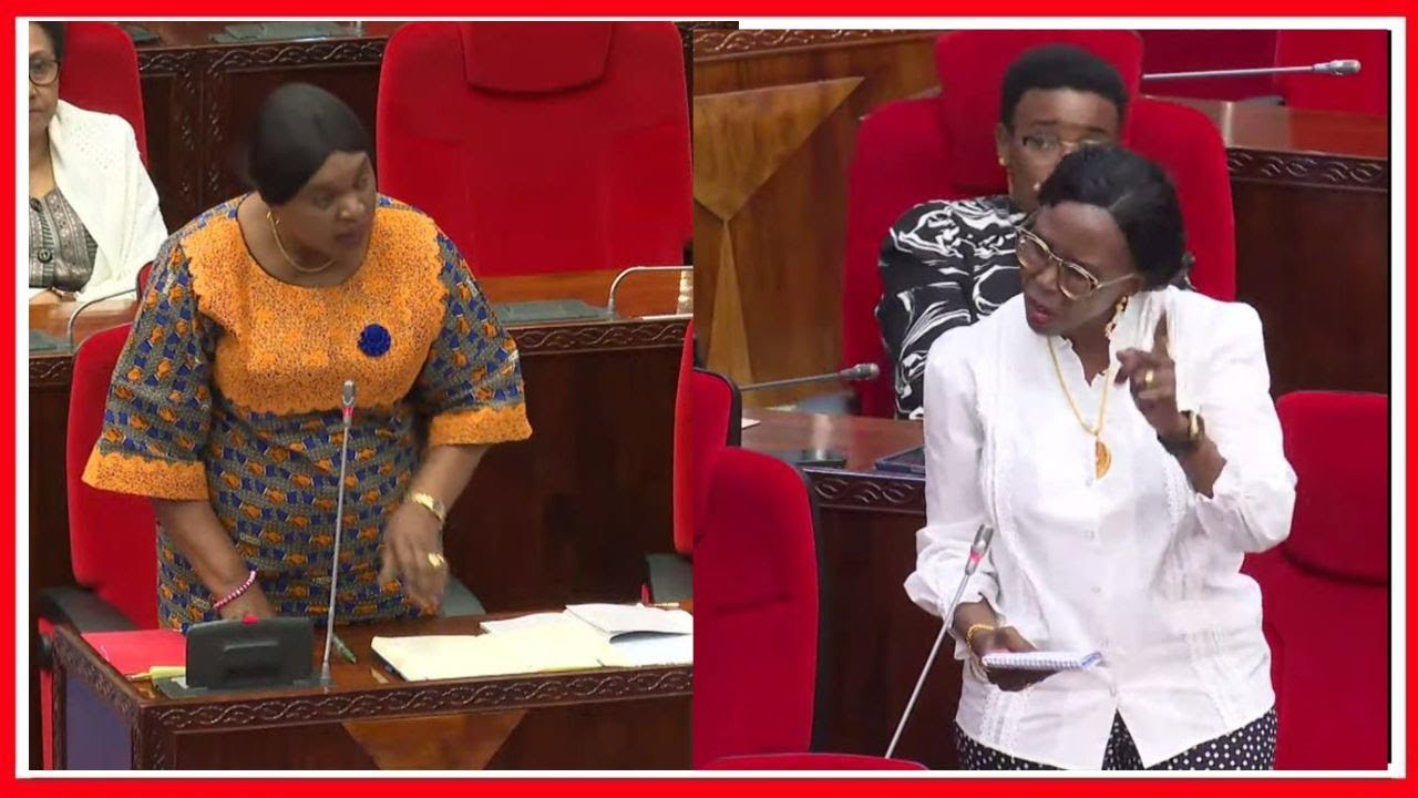 ESTER BULAYA AIKATAA TAARIFA ya WAZIRI - ''NINA MDOGO WANGU AMEATHIRIKA na DAWA za KULEVYA''...