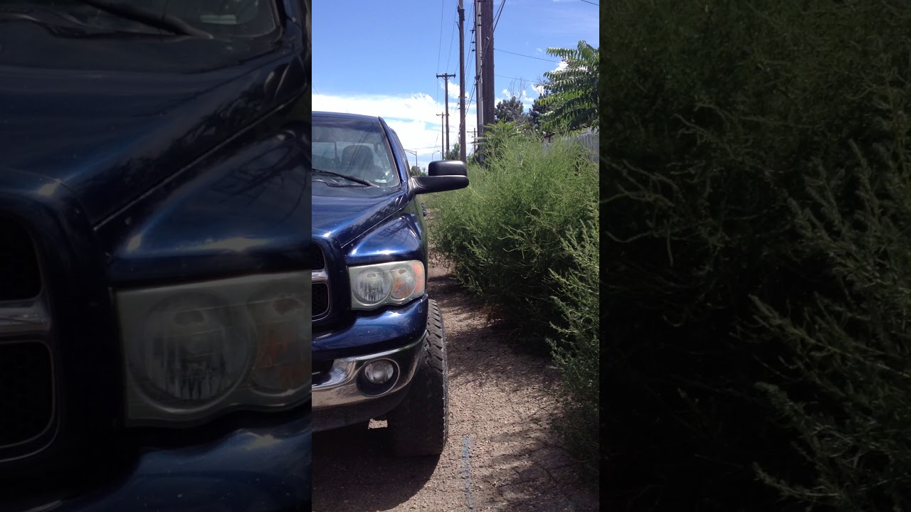 Pueblo Colorado Weed
