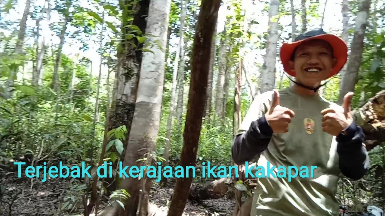 mancing sungai di penuhi ikan kakapar 🐟🐟