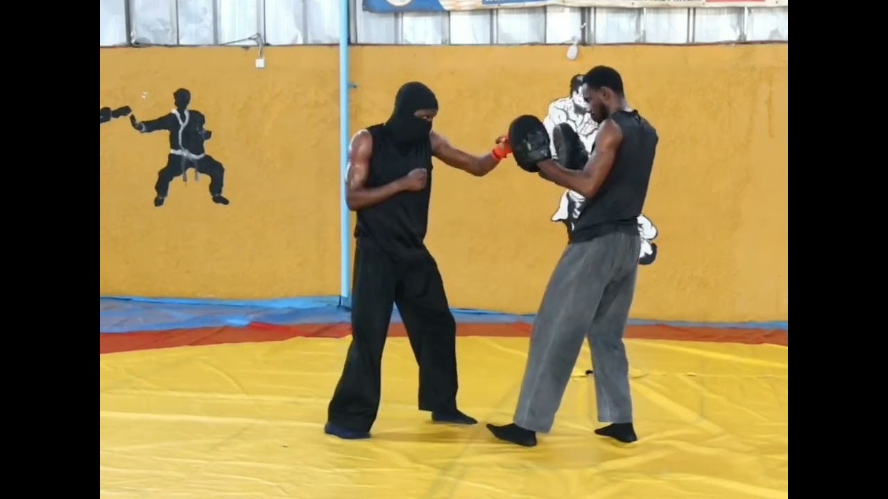 Démonstration⚡️ Kung-fu ⚡️Techniques de self-défense cas pratique ...
