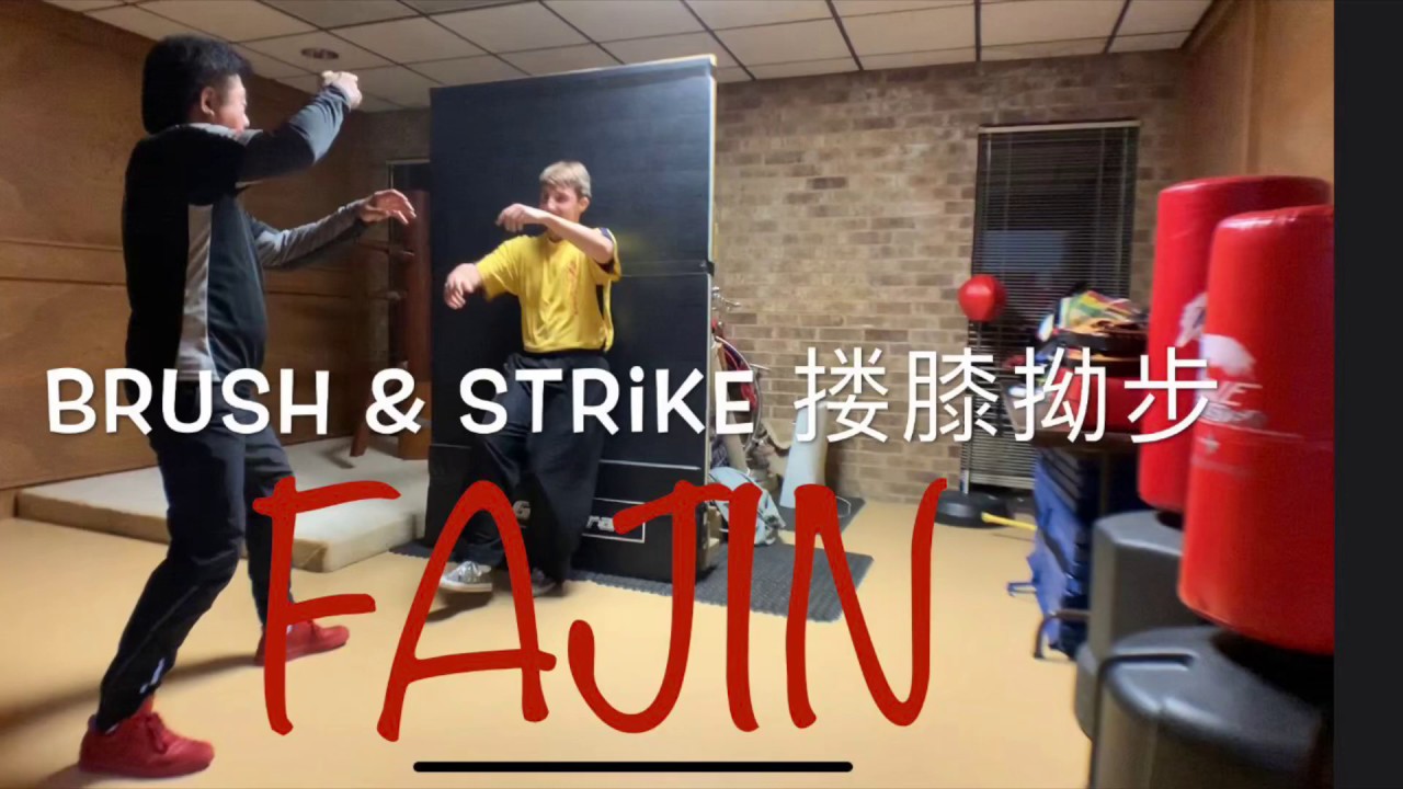 Tai Chi 1 move. no:3 Move with Fajin (Fajing) 發勁 Brush & Strike 搂膝拗步 by  Master Jimmy Wong