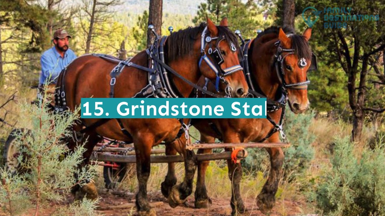 17 Best Things to Do in Ruidoso, NM