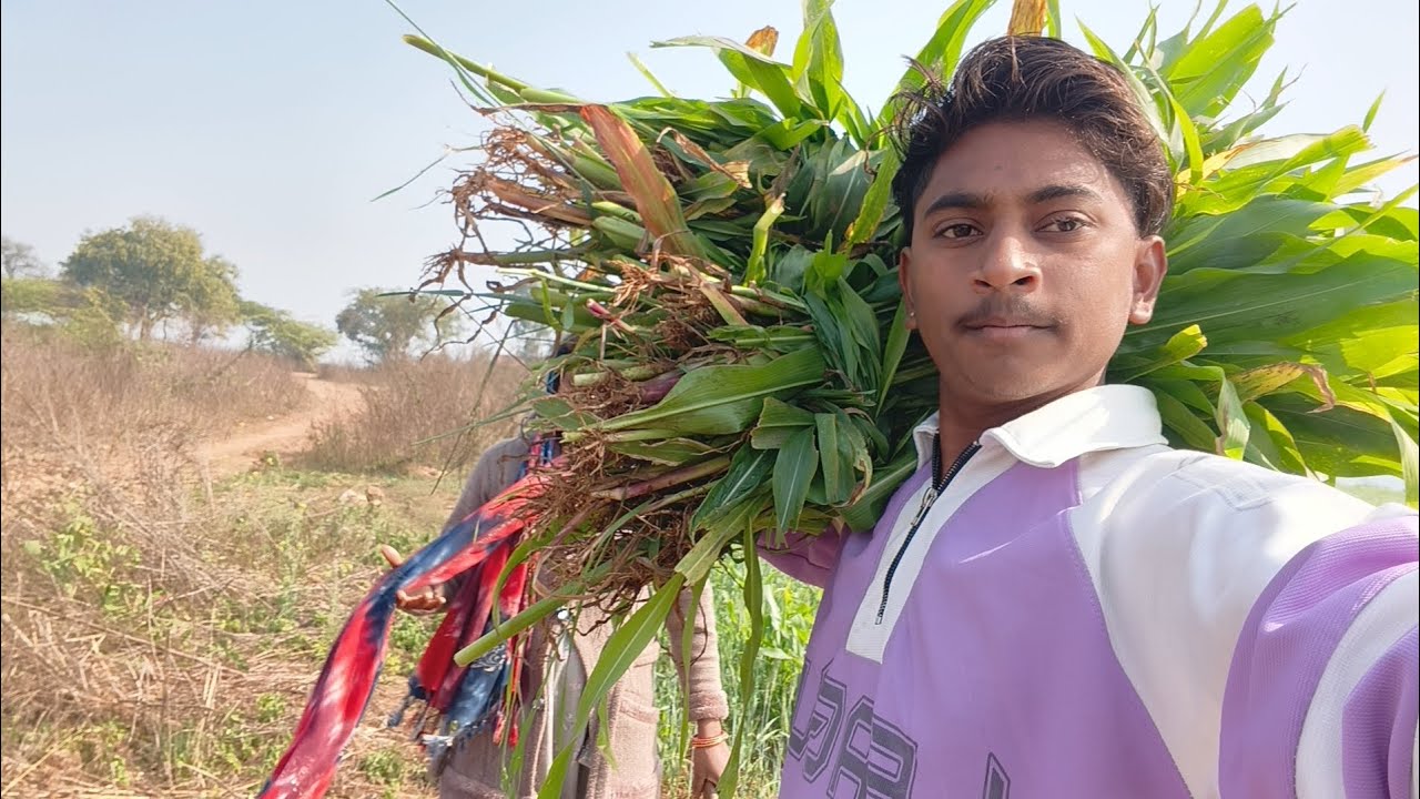 New vlogs 😁😅 // Vipul  komal 🤩 2026
