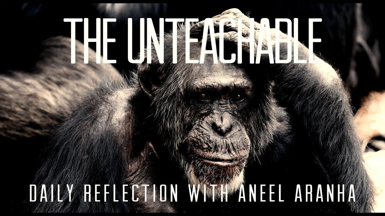 Daily Reflection with Aneel Aranha | Luke 10:21-24 | December 3, 2019