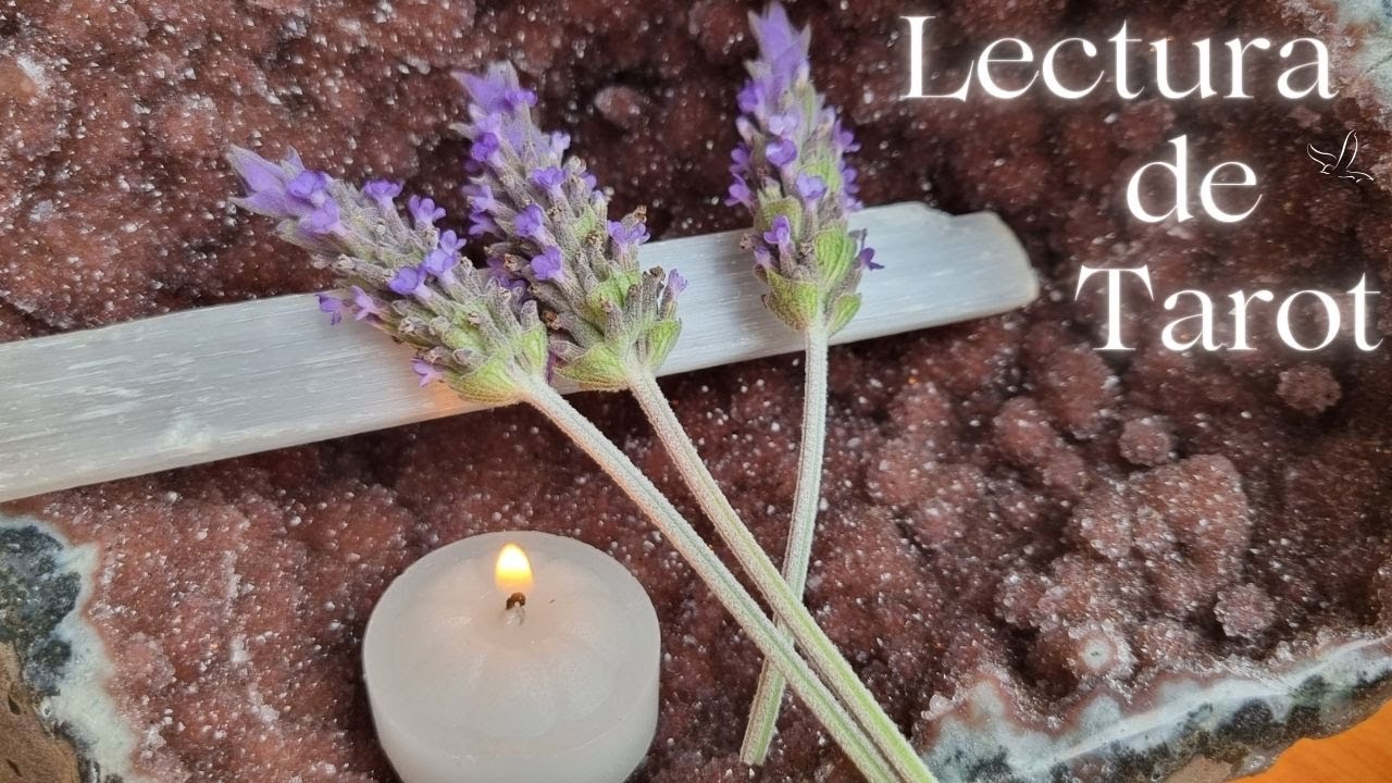 🌟LECTURA DE TAROT🌟 SOLO ESCOGE UN ELEMENTO Y RECIBE TU MENSAJE 💜