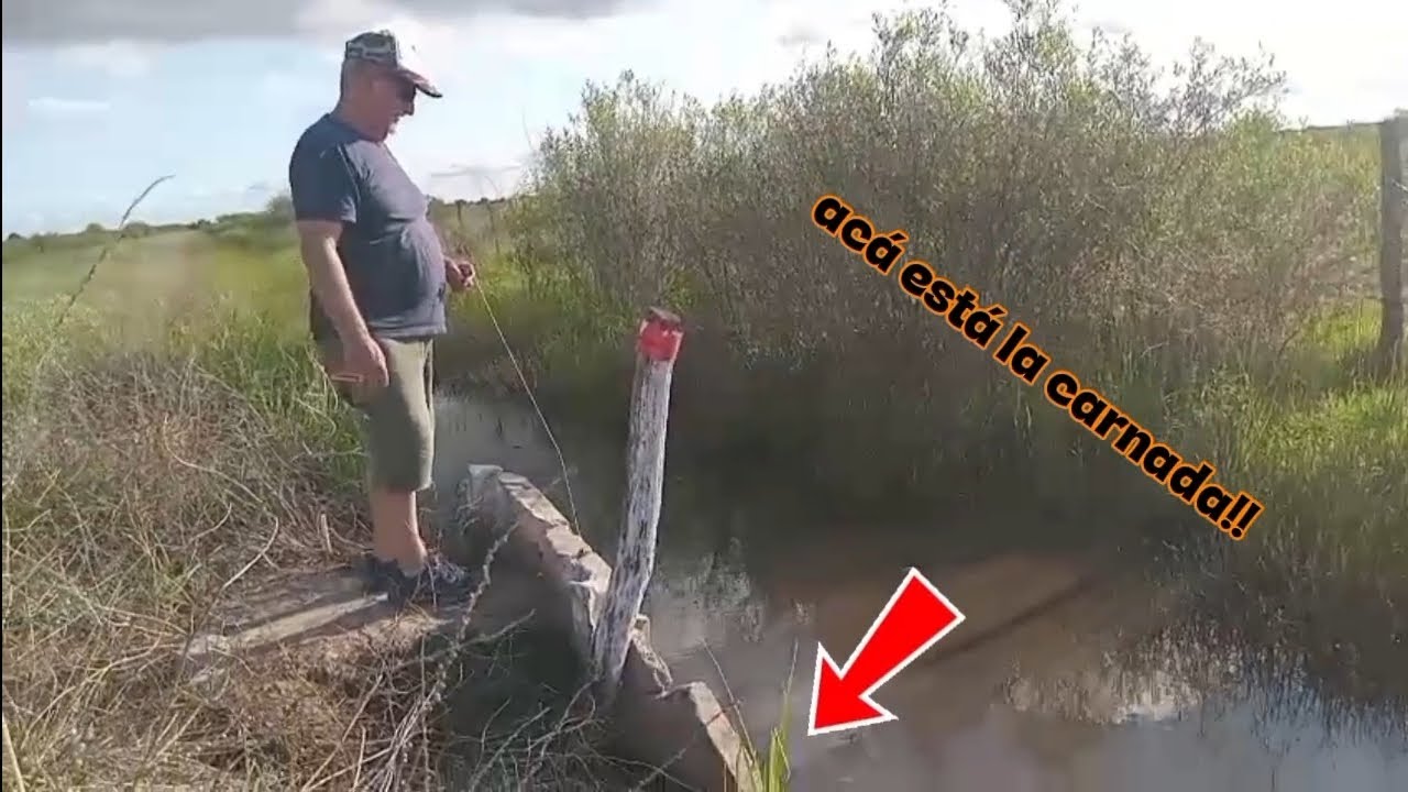 FUIMOS A BUSCAR CARNADA 🎣 !!pero es increíble los que no paso...