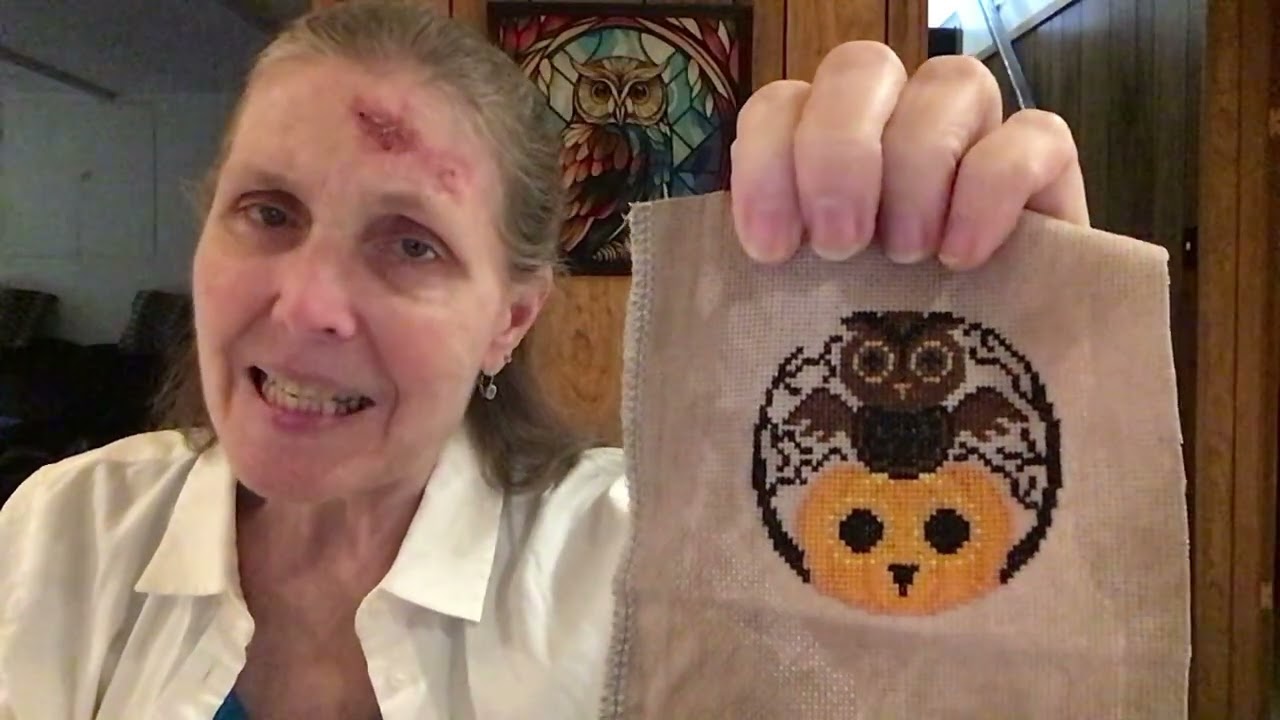 Flosstube 58 The Stitching Owl -  October 31st 2025 - exciting progress
