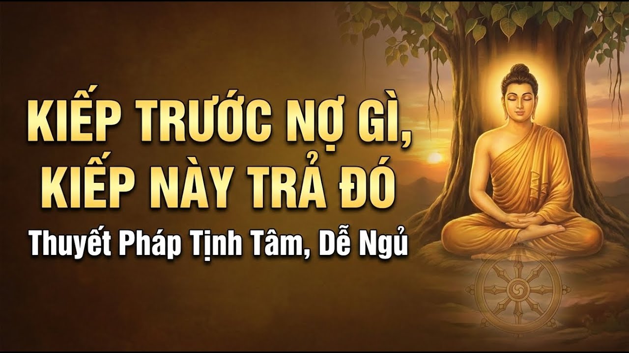 Kiếp Trước Nợ Gì, Kiếp Này Trả Đó | Thuyết Pháp Phật Giáo Tịnh Tâm, Dễ Ngủ | Phật Pháp Dạy Con.