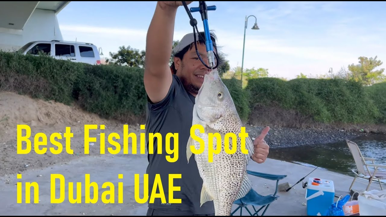 Fishing in Dubai, Best Fishing Spot in Dubai UAE