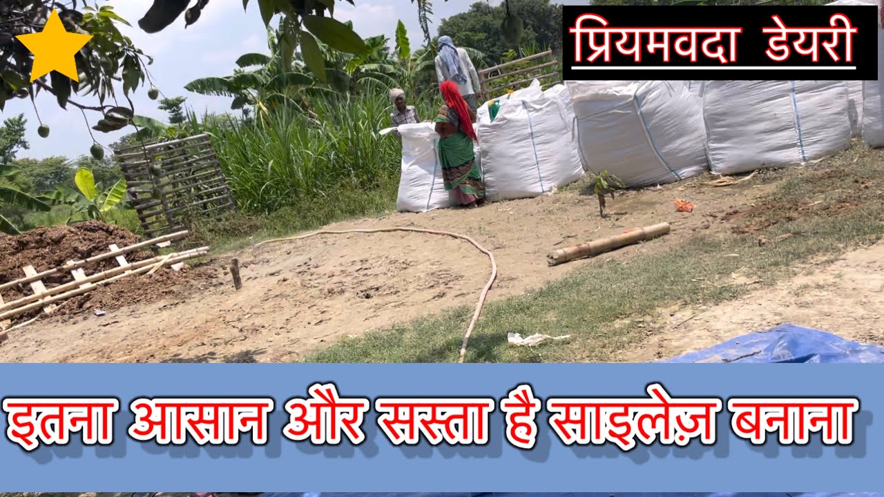 साइलेज बनाना इतना सस्ता