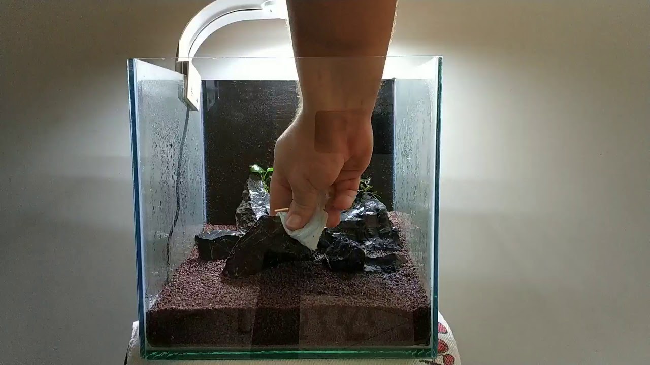 AQUA NANO PLANTADO #12 | Montagem Cubo 25cm