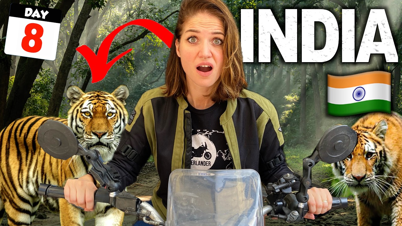 8🇮🇳 Crossing into Karnataka Through a TIGER RESERVE 😱 Motorcycling India