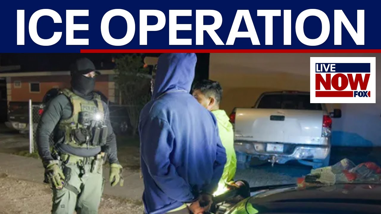 800+ Arrests: Florida announces largest ICE immigration operation