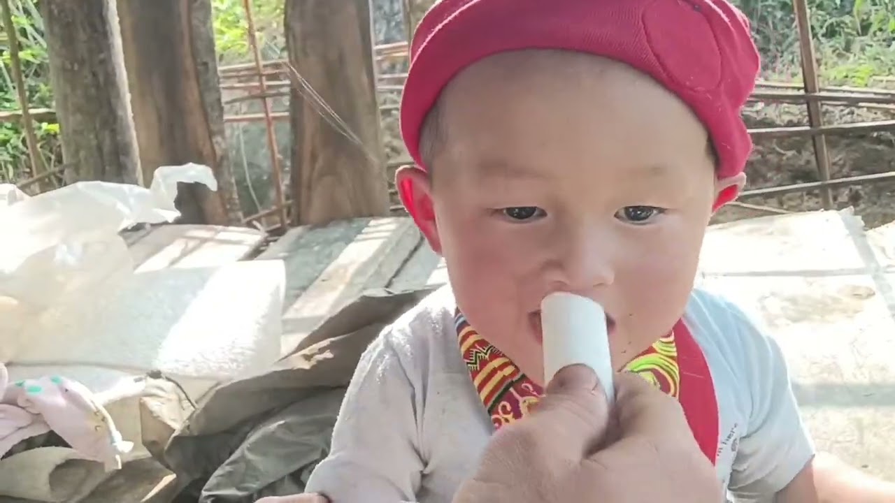 Người bố đơn thân bị bà mẹ kế đuổi khỏi nhà.