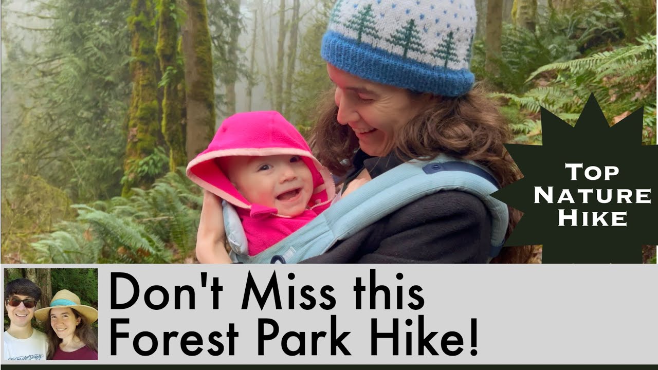 Don’t Miss this Top Nature Hike in Portland’s Forest Park: Wildwood Trail via Newberry Road