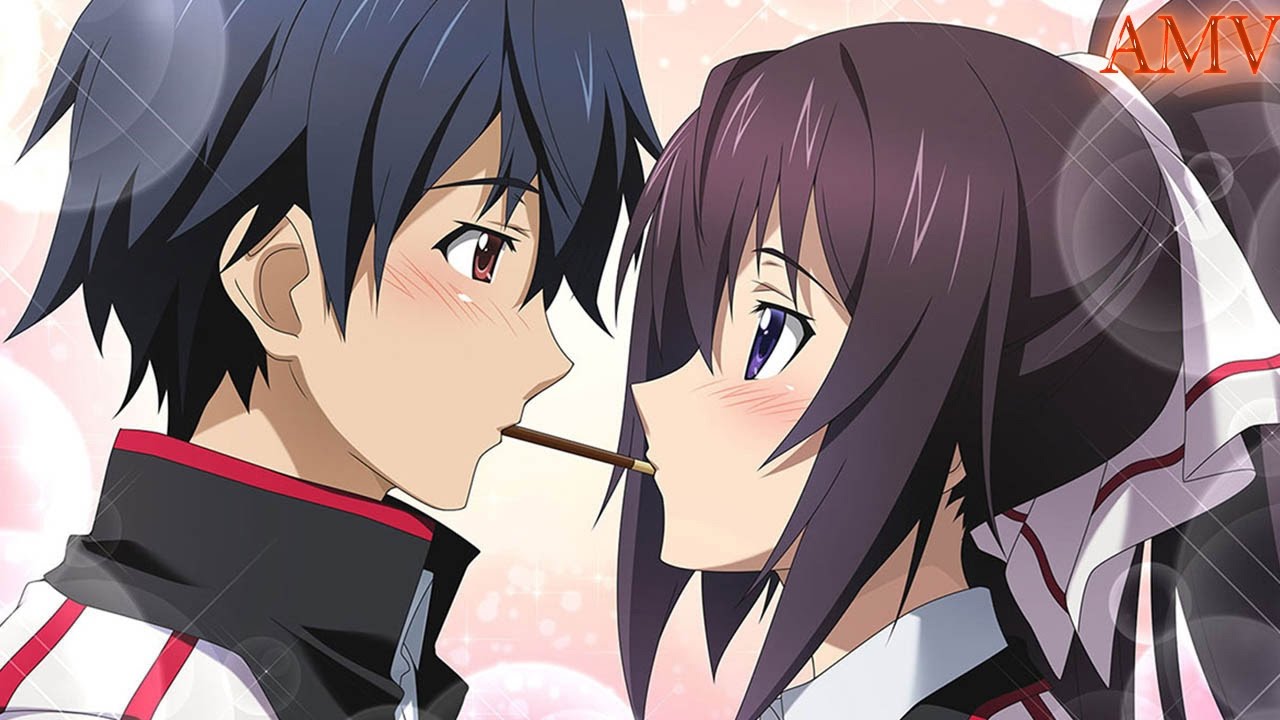 Infinite Stratos - Ichika and Houki [AMV]