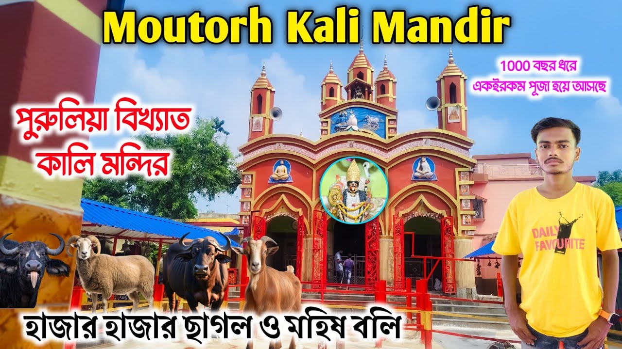 পুরুলিয়া মৌতড়ের বড় কালী |Moutorh Kali Puja Purulia |হাজার হাজার ছাগল ও মহিষ বলি |Moutorh Kali Mandir