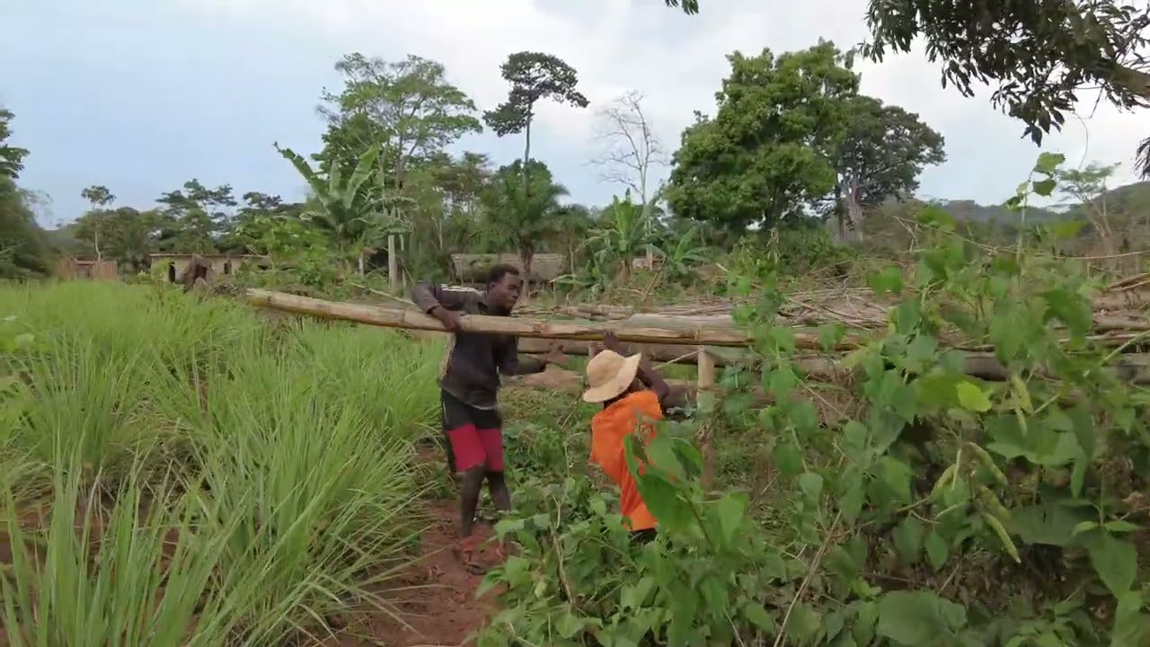 See How Much Francisco's Garden Has Changed || Tony Phong African Life