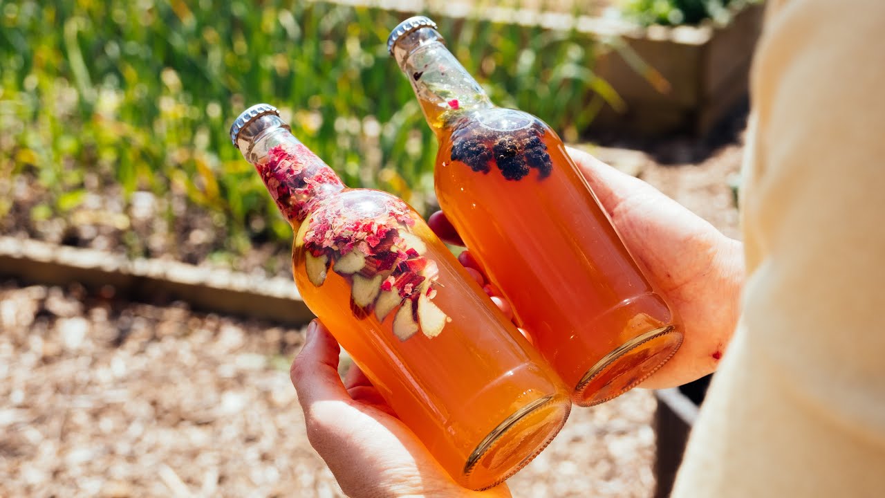 Kombucha Masterclass 🦠