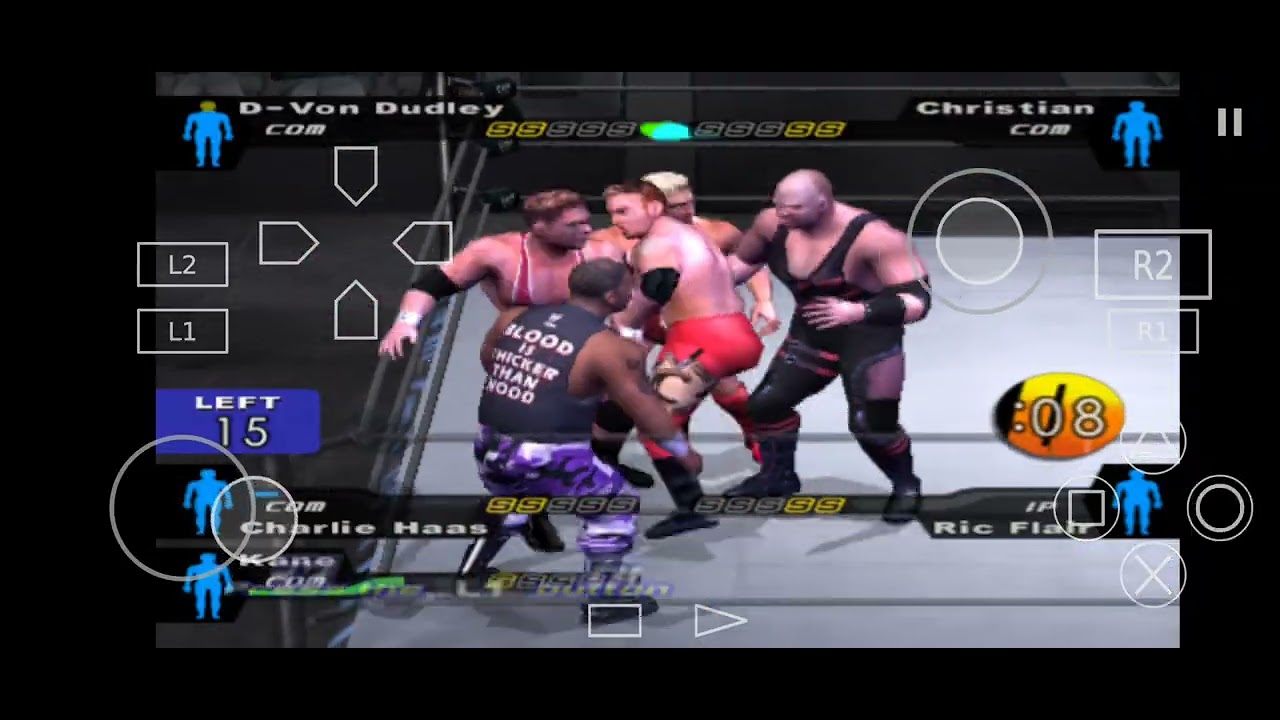 WWE HERE COMES THE PAIN | Royal Rumble