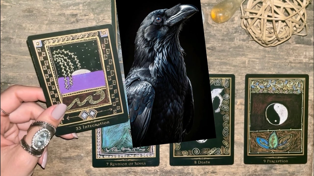 IDŐTLEN szeretet, elhallgatott érzések…🪶 ⏳ 🌀