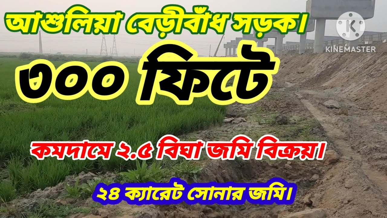 বেড়িবাধ ৩০০ ফিটের পাশে কমদামে জমি কিনুন।#Land sale Dhaka Gazipur#Chep rate land sale Ashulia beribad