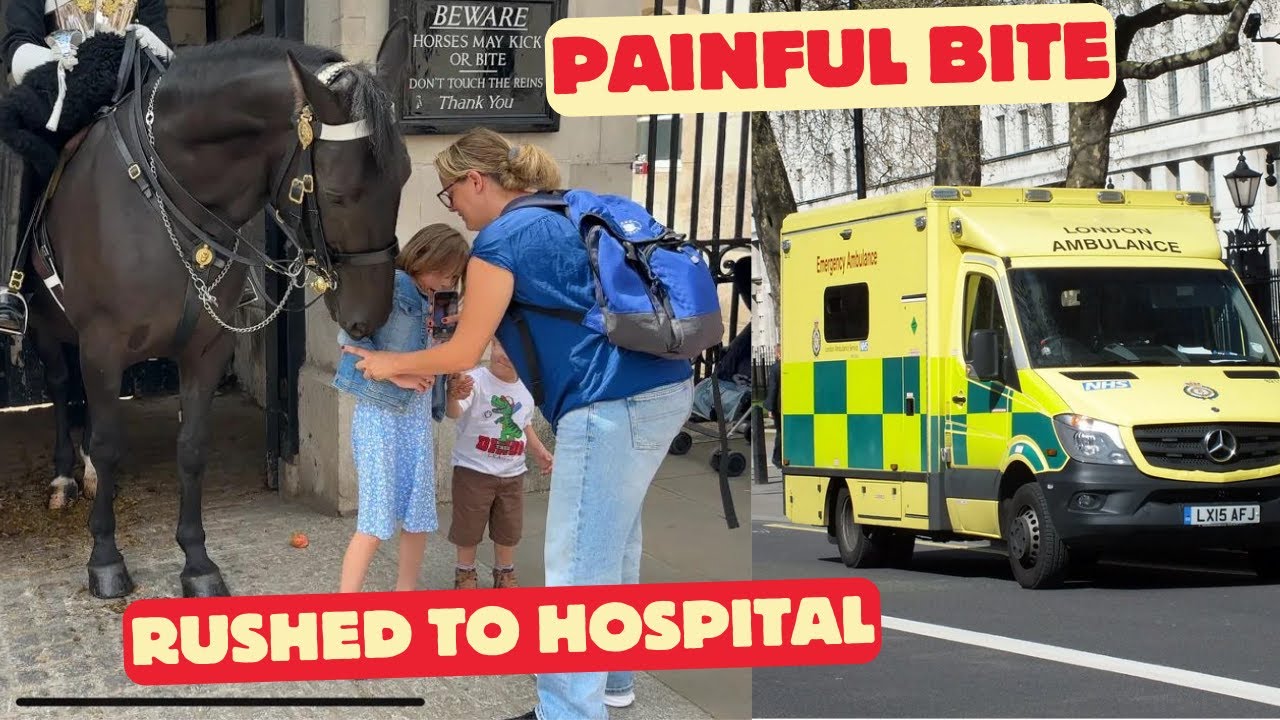 Horse Bites Little Girl SO PAINFULLY, Rushed to Hospital.