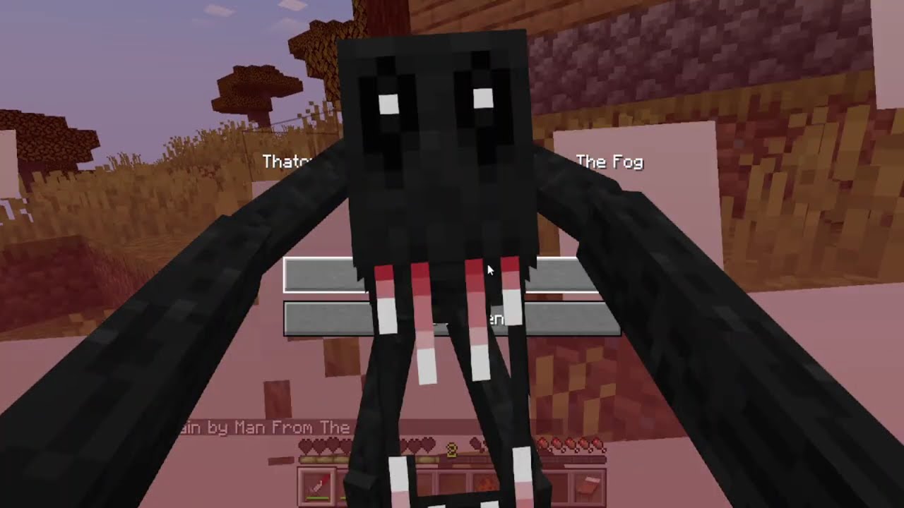 I Wasn't Alone in Singleplayer