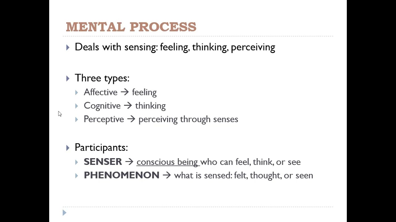 Transitivity System #2: The Processes of Doing
