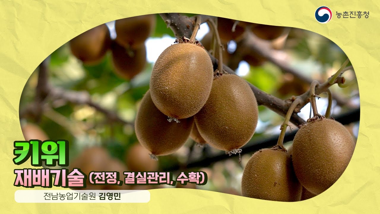 40. 키위 재배기술