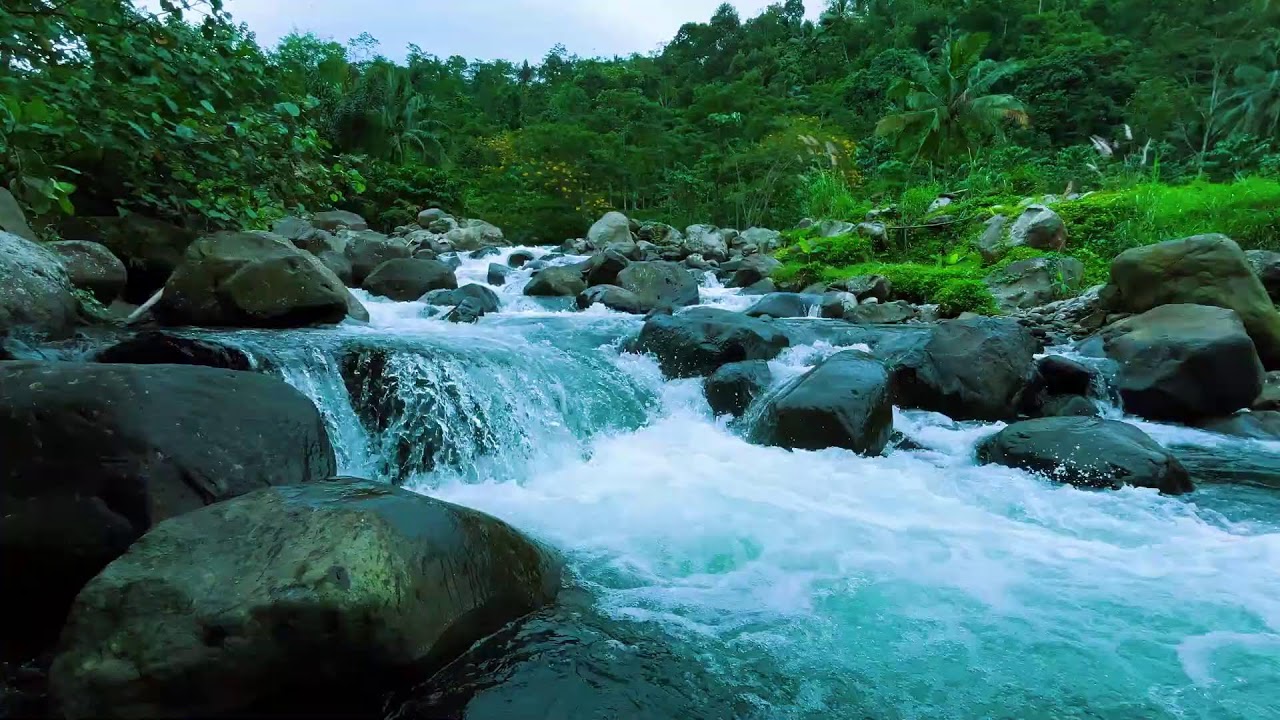 Healing Forest River Sounds for Anxiety Relief and Focus
