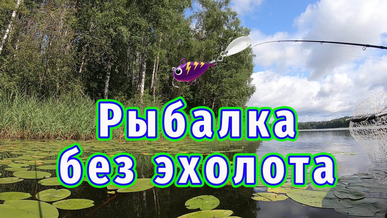 Рыбалка без эхолота! Лучшая приманка вдоль берега Тейл-спиннер! 100% результат!