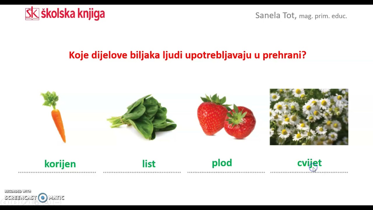 Građa biljke, 3. r.